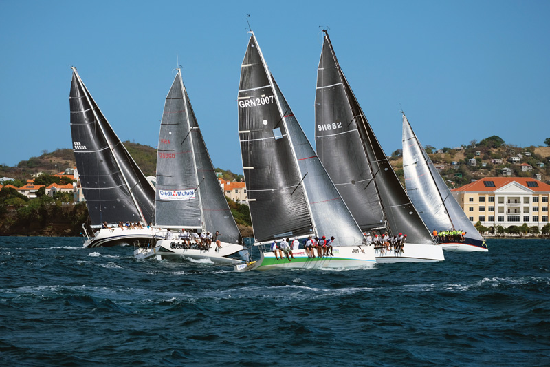 The Charm of Grenada Sailing Week | SpinSheet